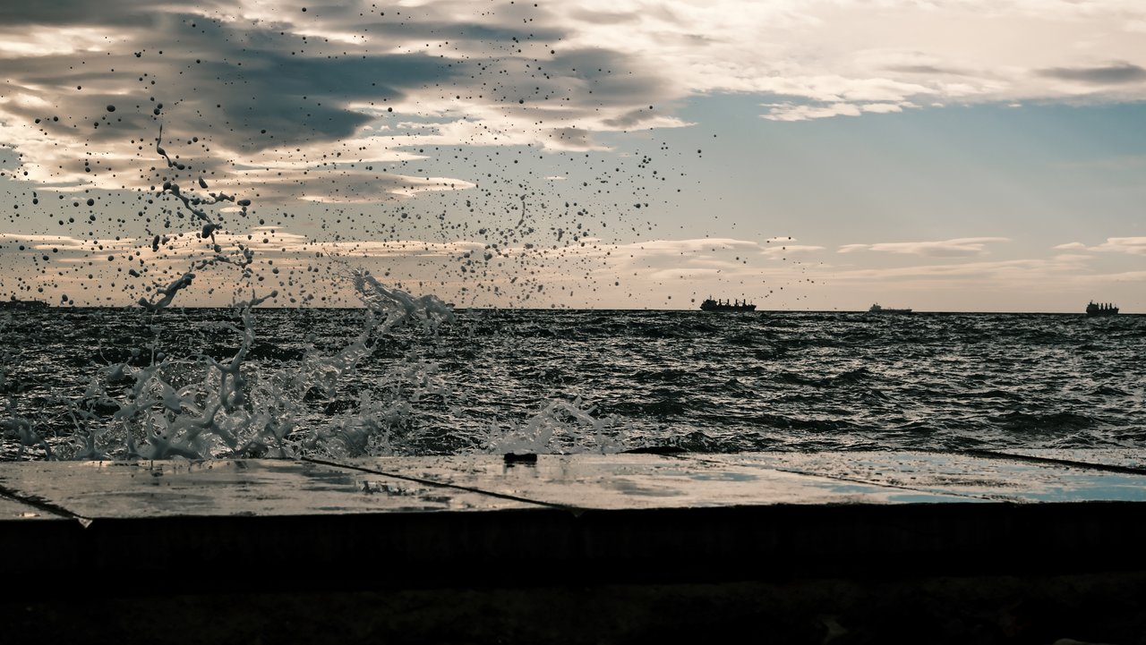 DSCF5486.jpg