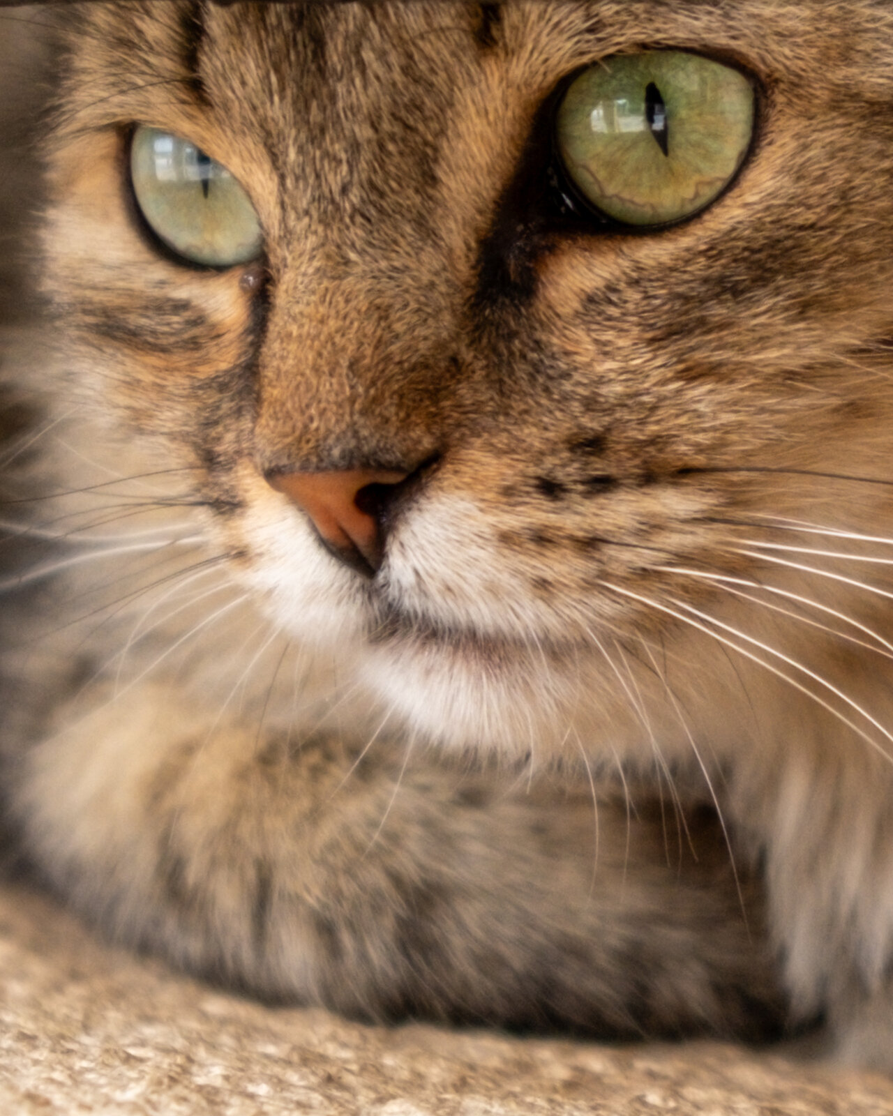 DSCF5514-2.jpg