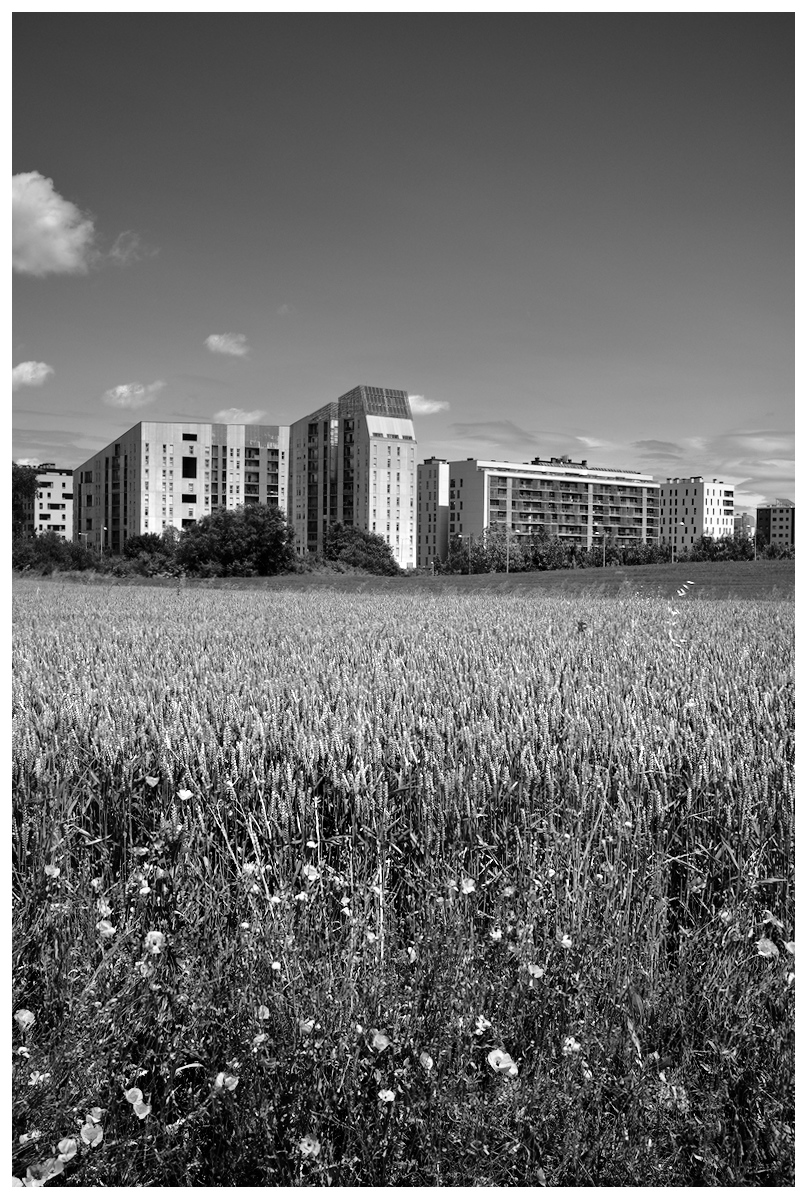 DSCF5744.jpg