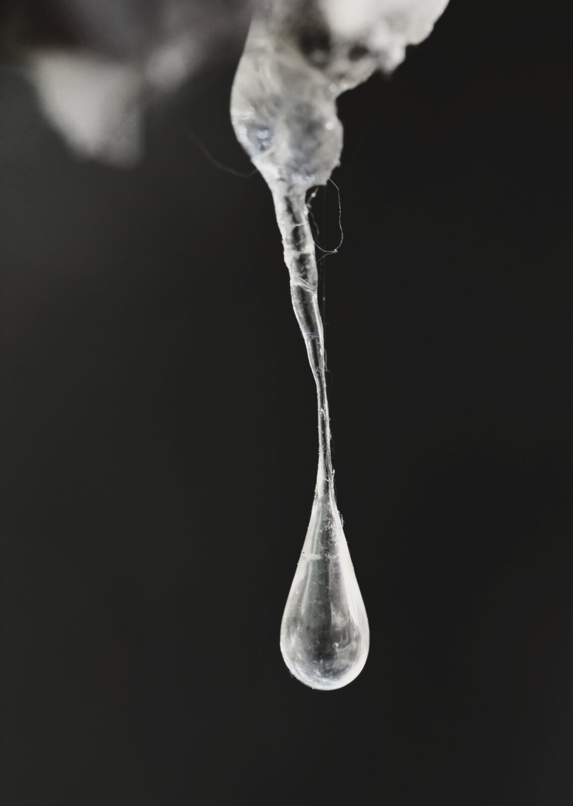 DSCF5749.JPG