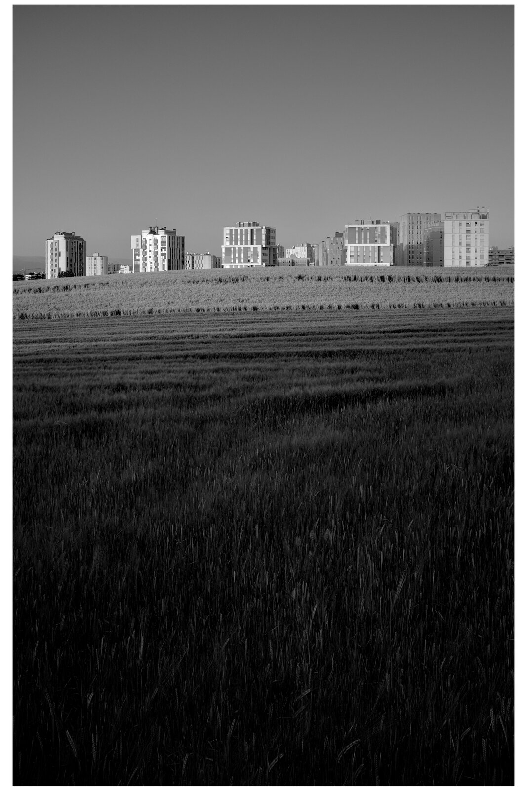 DSCF5779.jpg