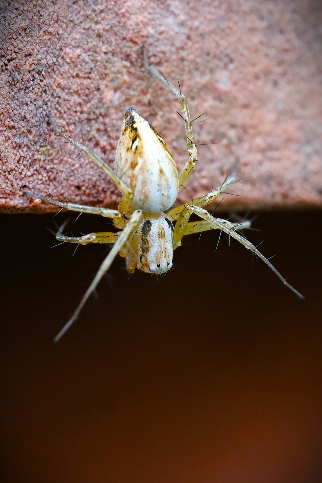 DSCF5780[1].JPG