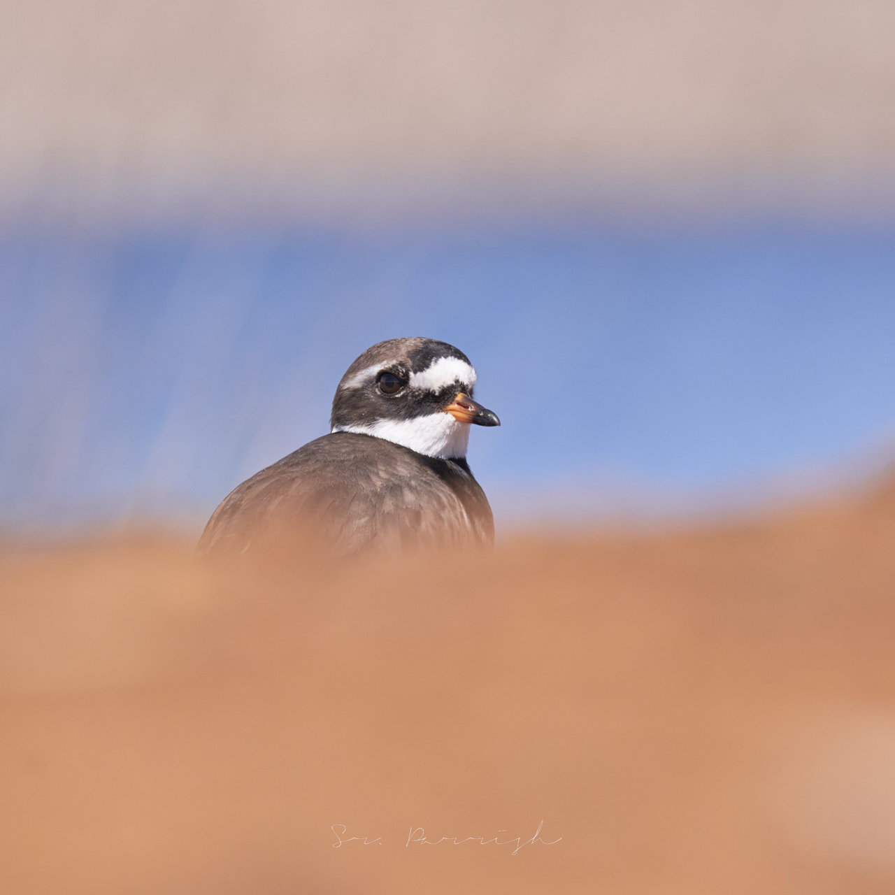 DSCF5809 1.jpg