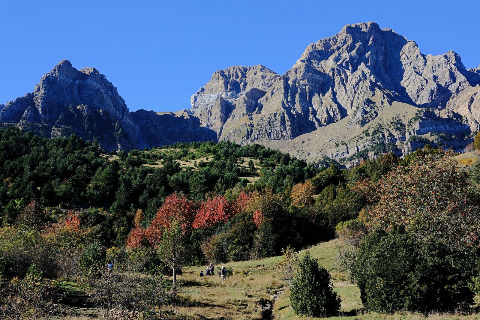 DSCF5851.JPG