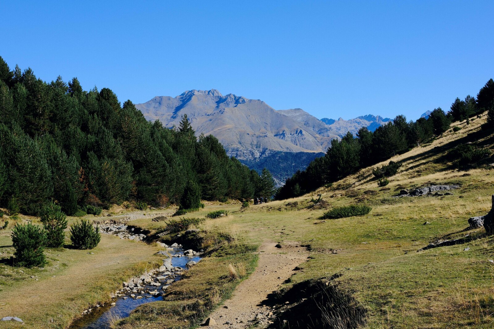 DSCF5860.JPG