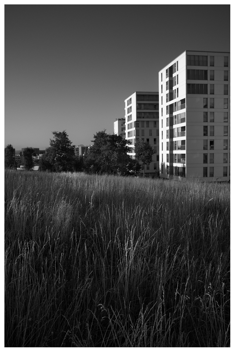 DSCF5869.jpg
