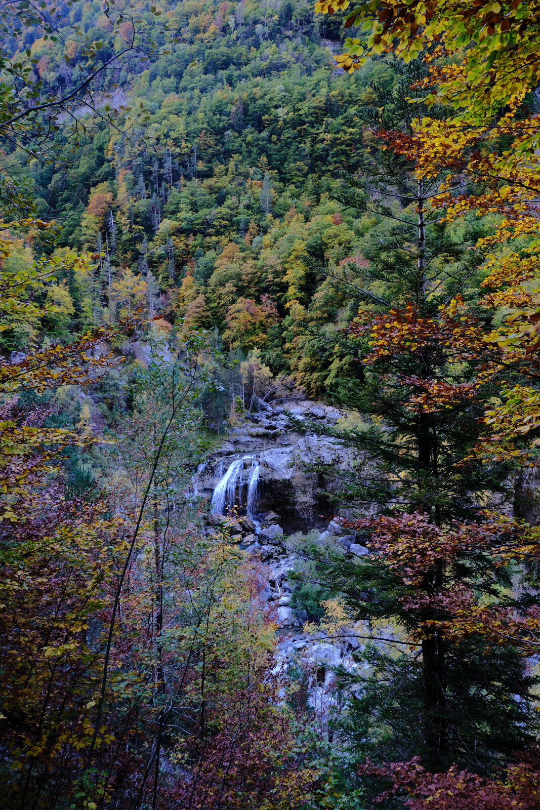 DSCF6004.JPG