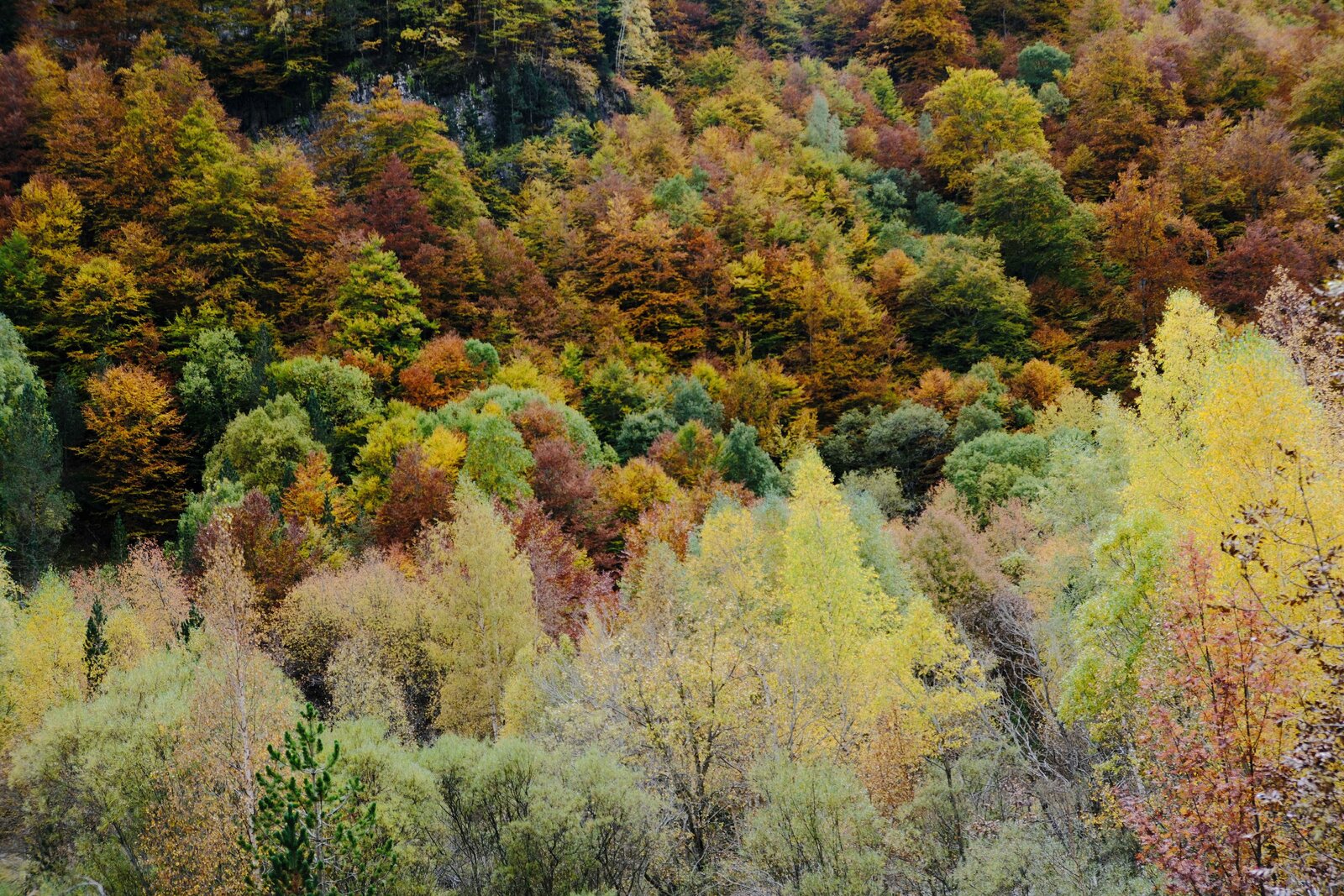 DSCF6080.JPG