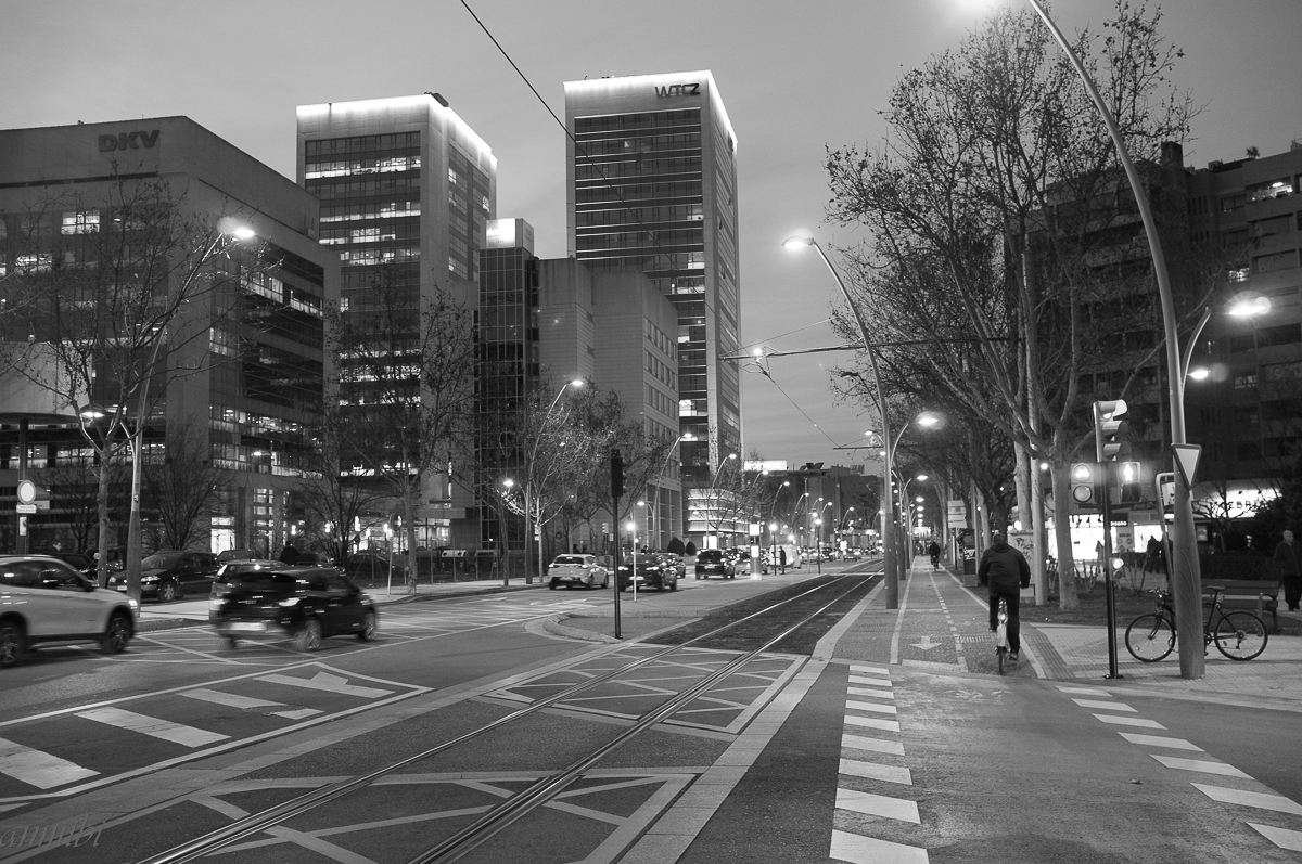 DSCF6085.jpg
