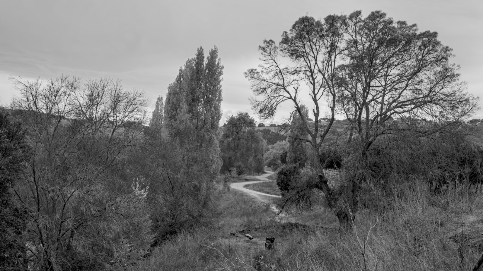 DSCF6318_01.jpg