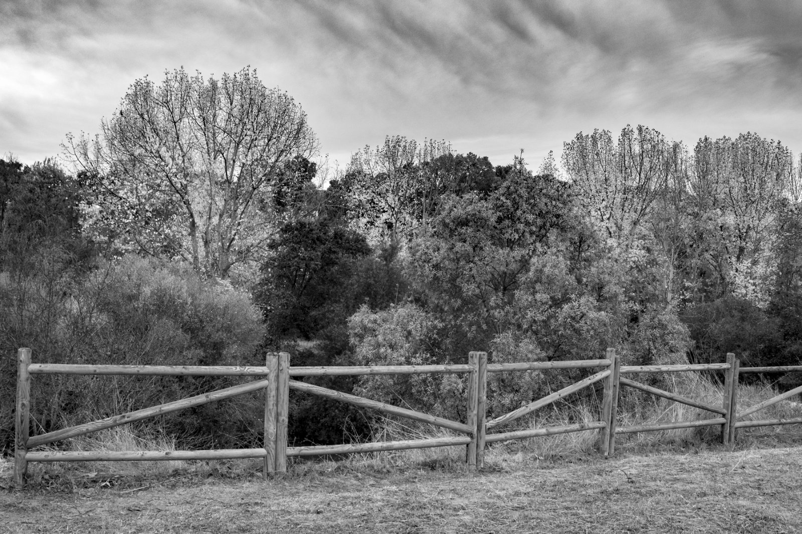 DSCF6320.jpg