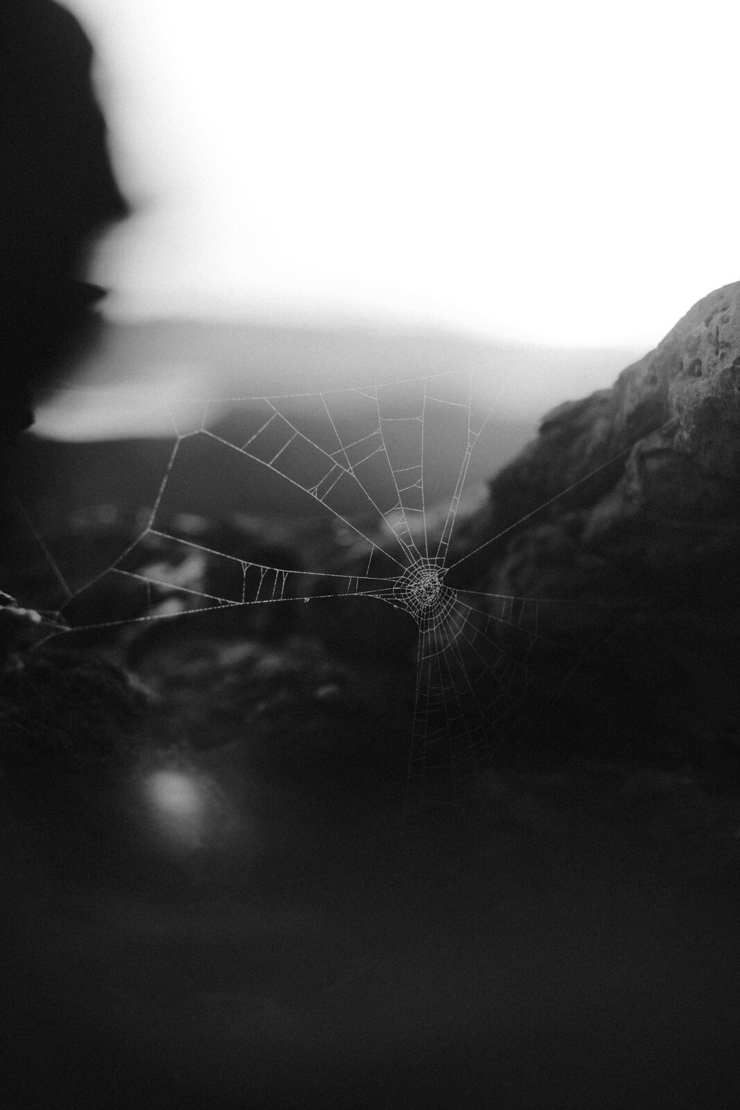 DSCF6324.jpeg
