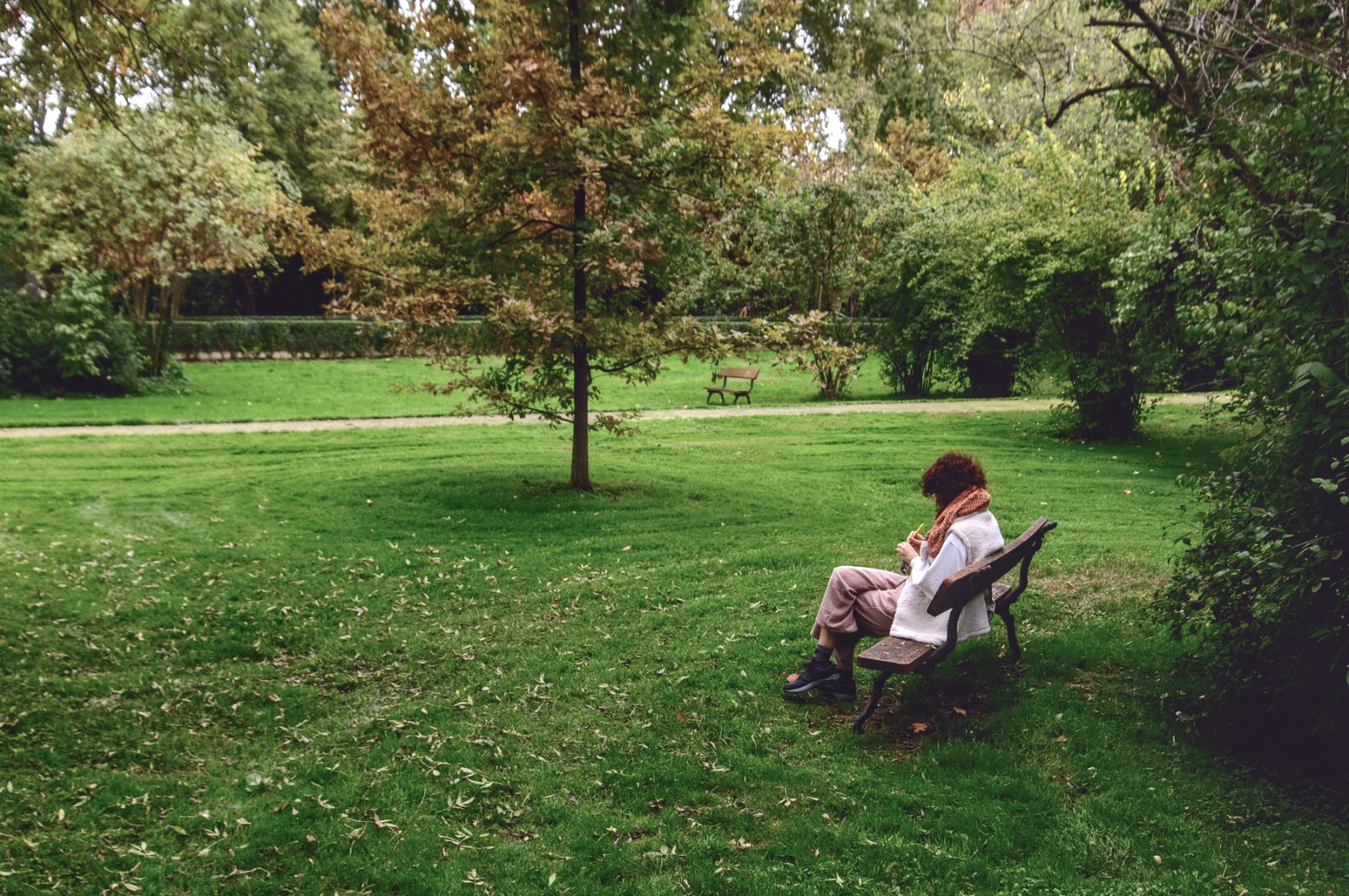 DSCF6333.jpg