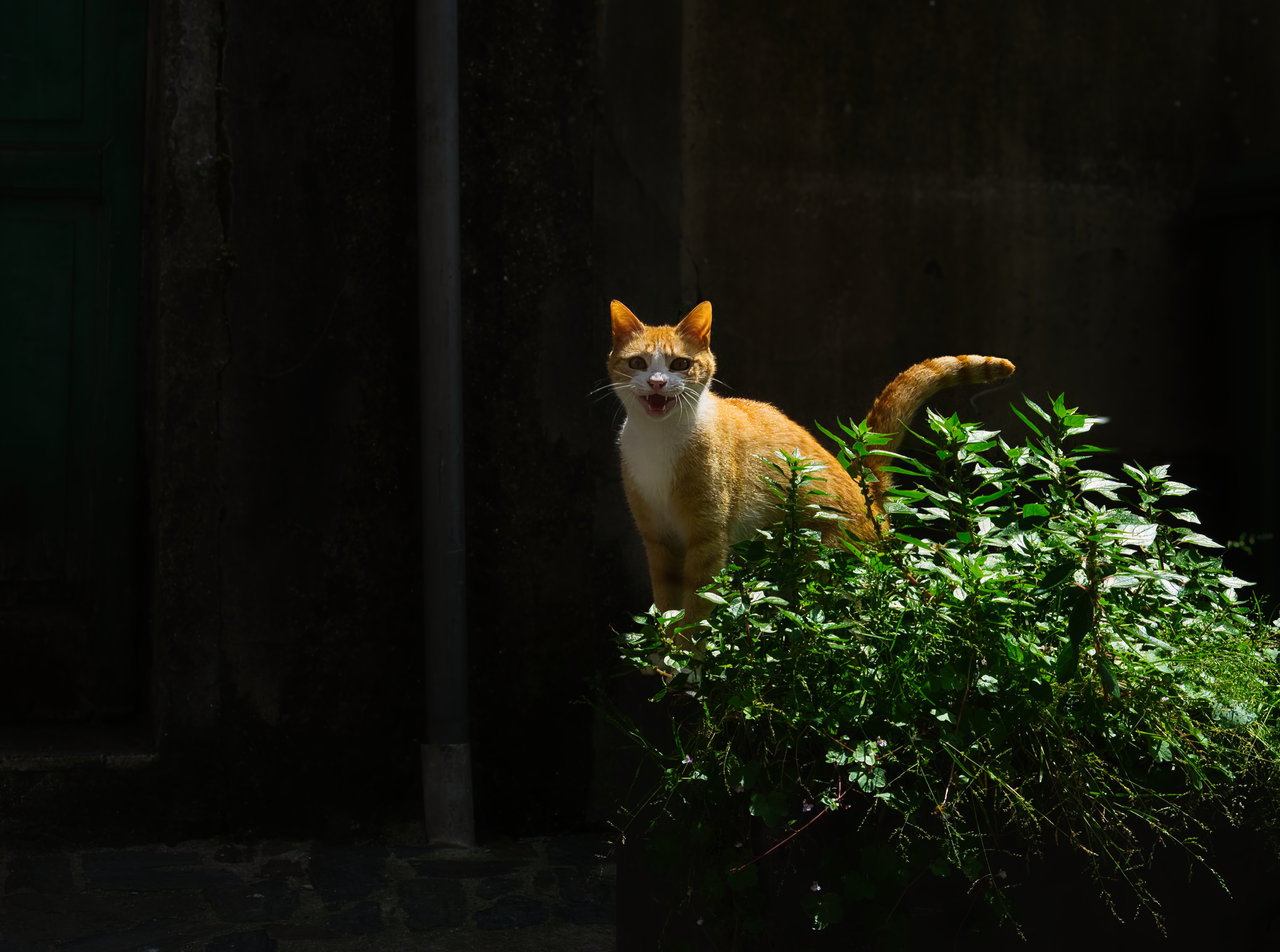 DSCF6373_ed.jpg