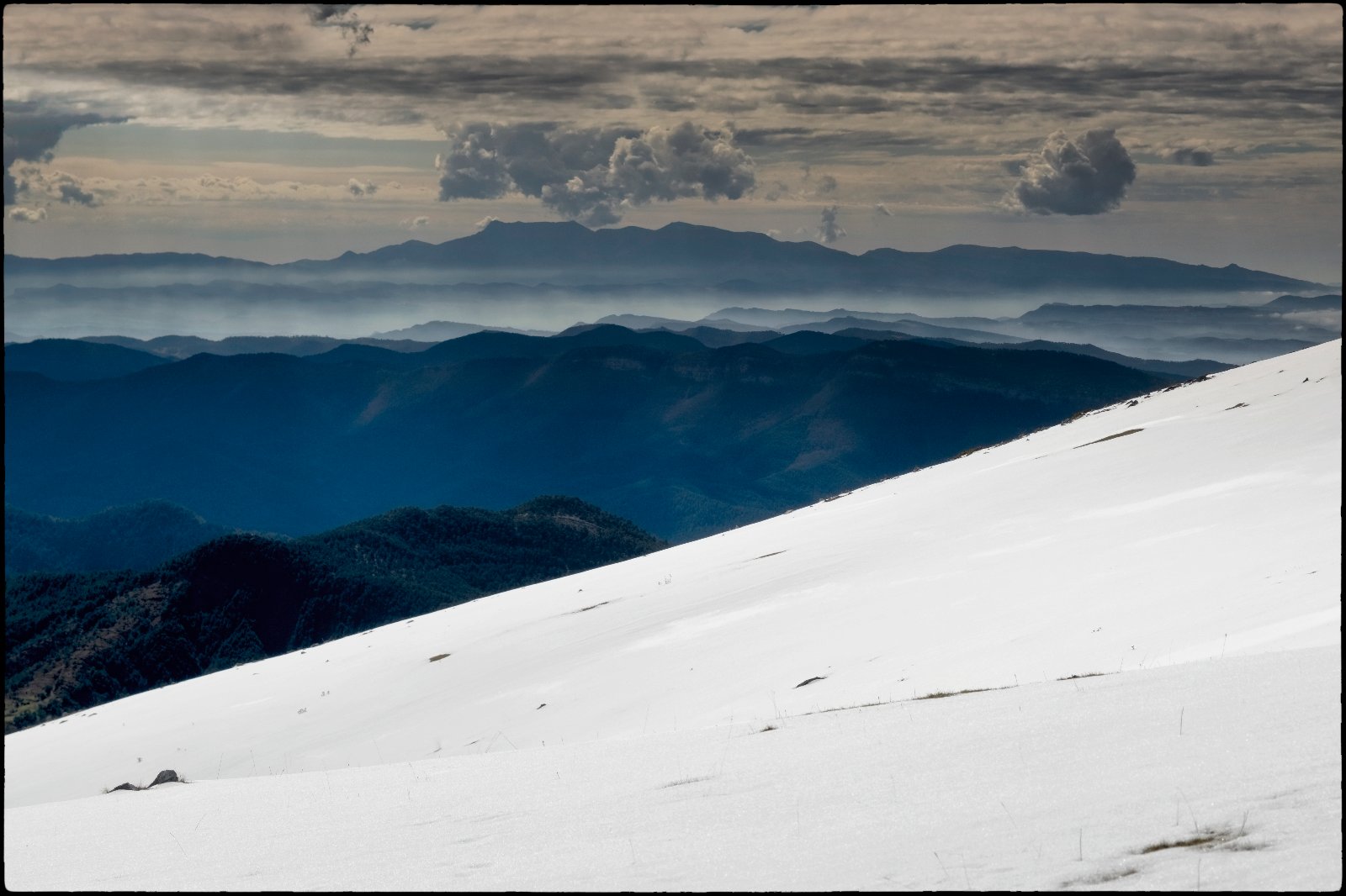 DSCF6473.jpg