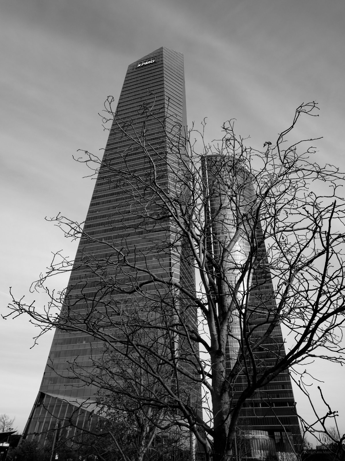 DSCF6491.jpg