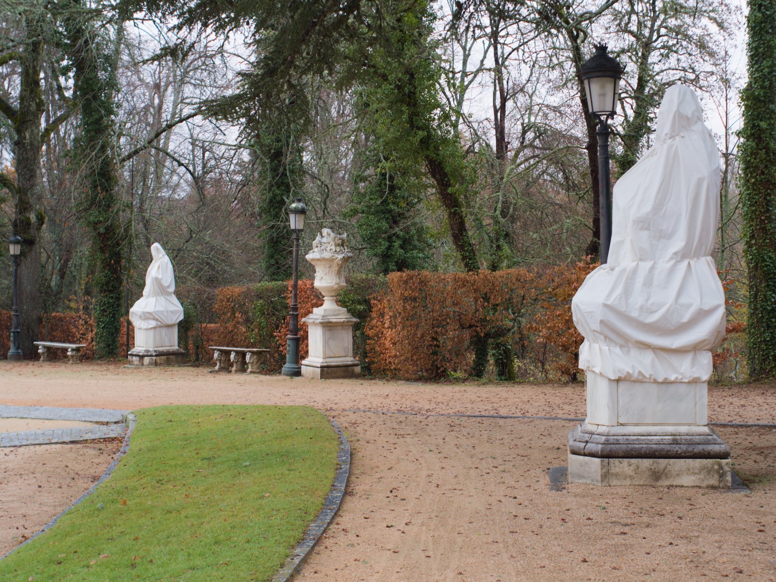 DSCF6534.jpg