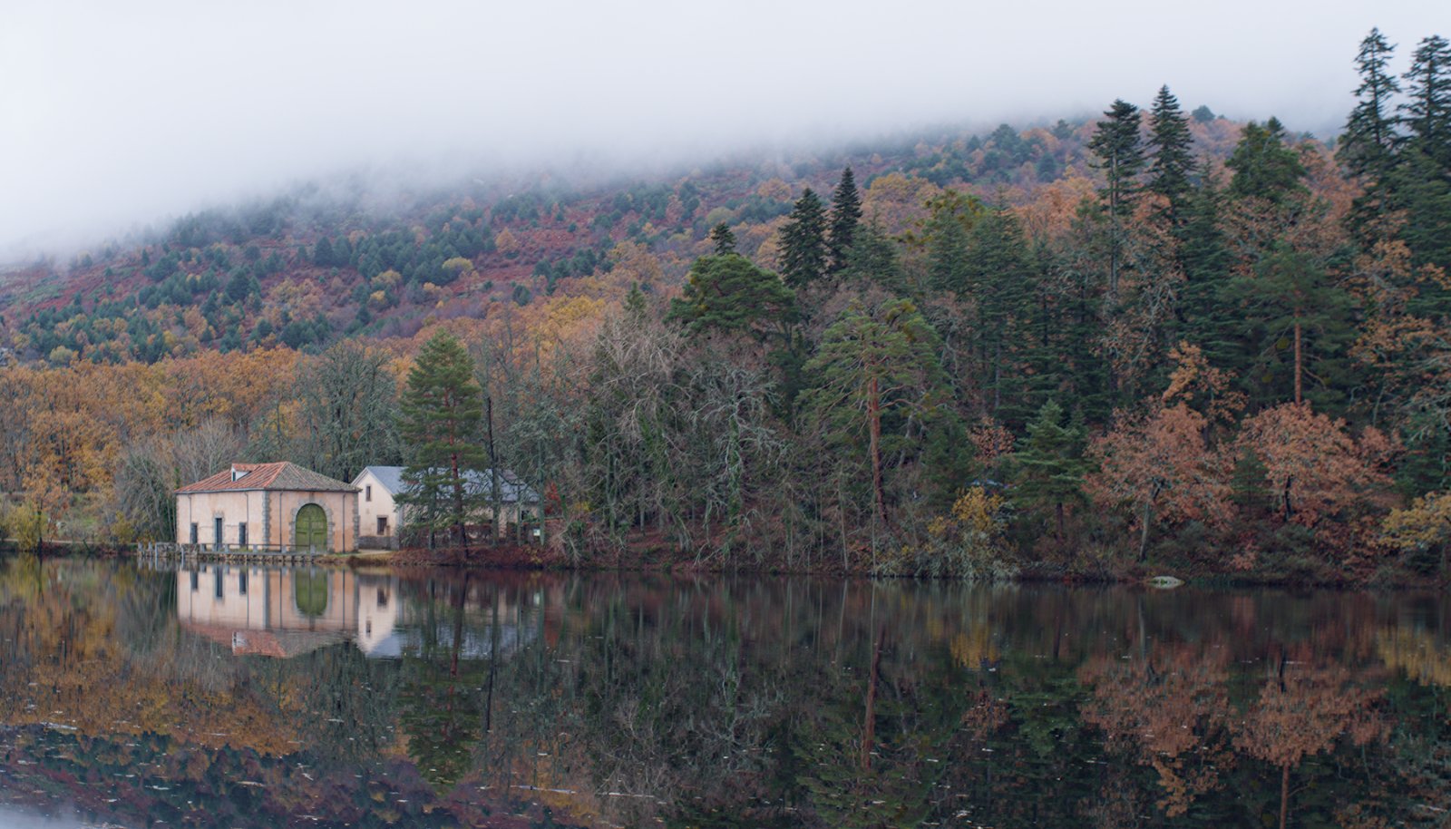DSCF6548.jpg