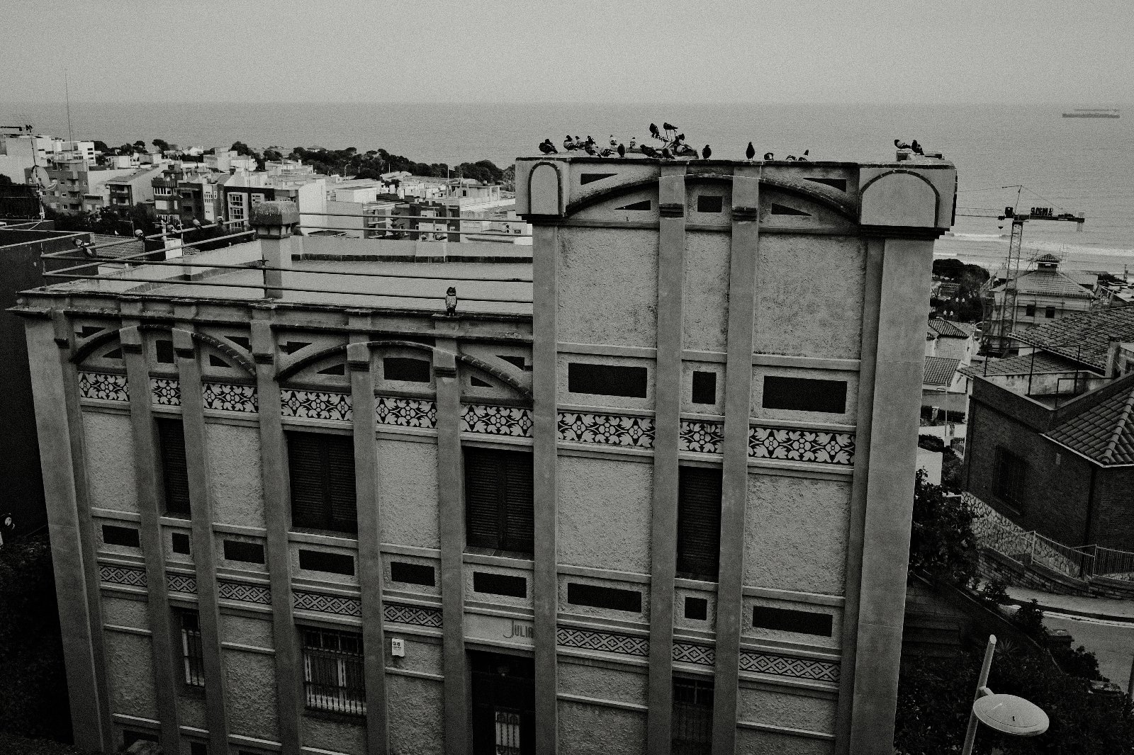 DSCF6555.JPG