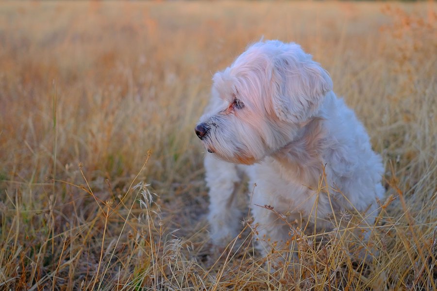 DSCF6573.jpg