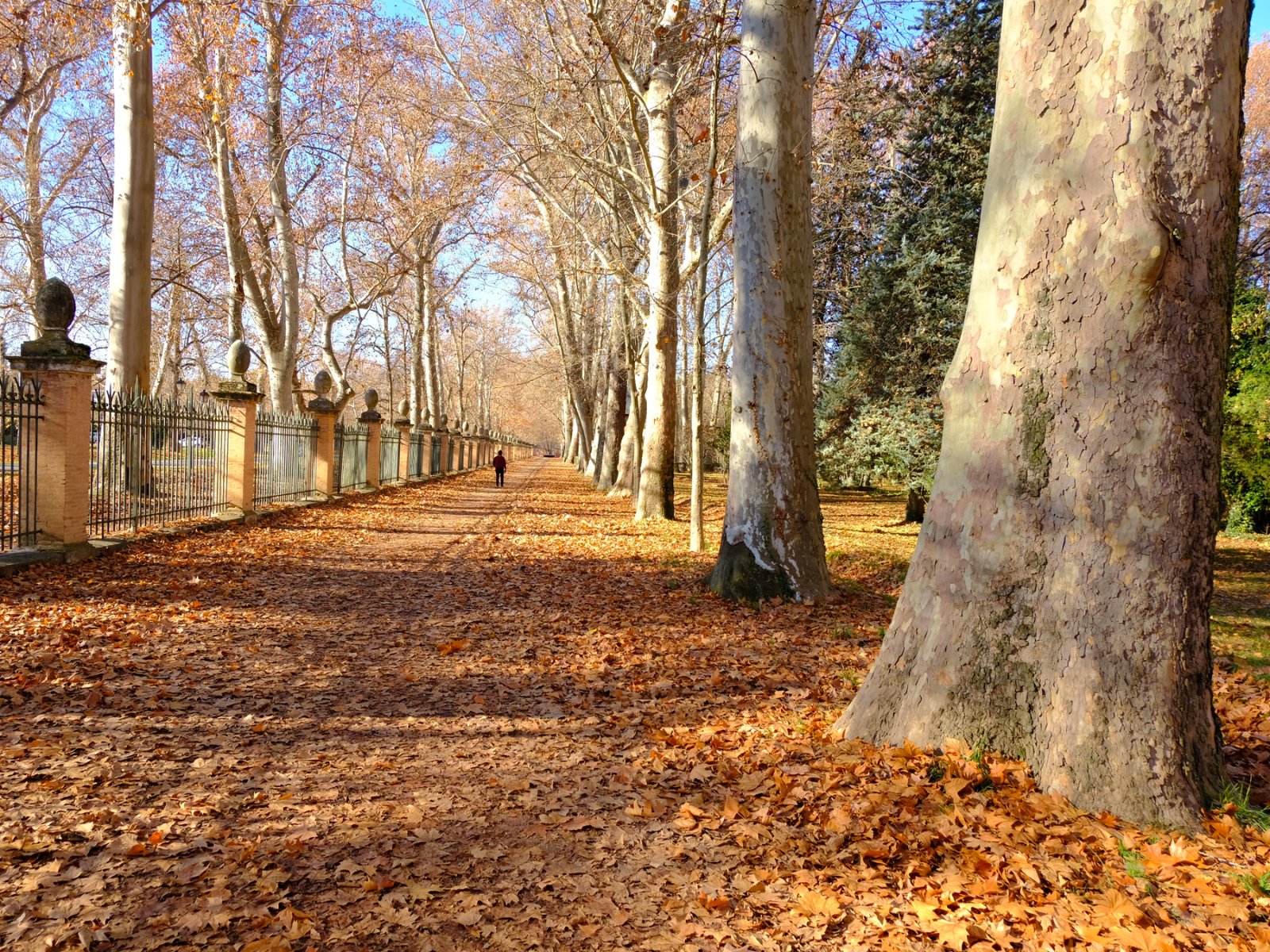 DSCF6642.jpg
