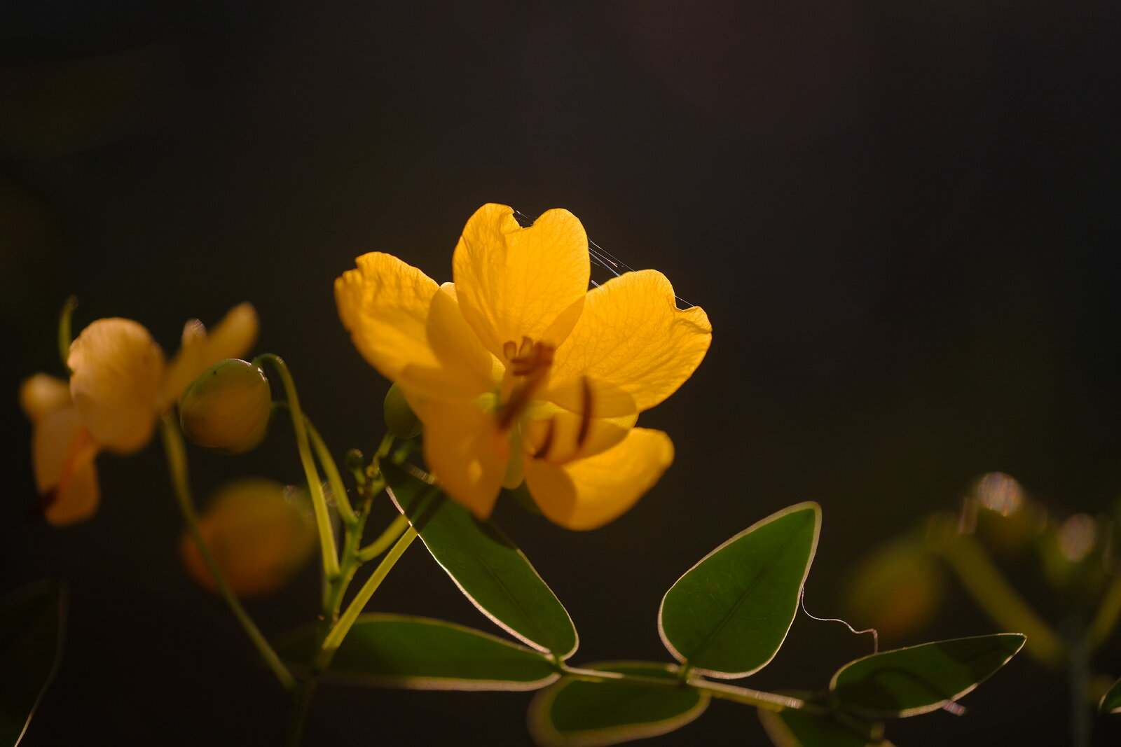 DSCF6670.JPG