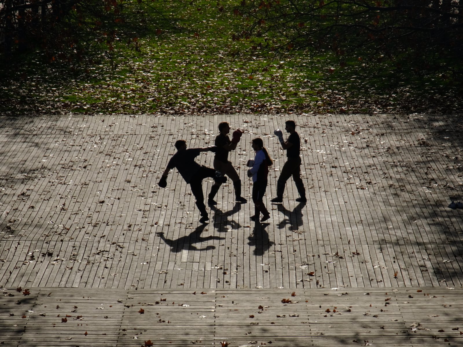DSCF6680.jpg