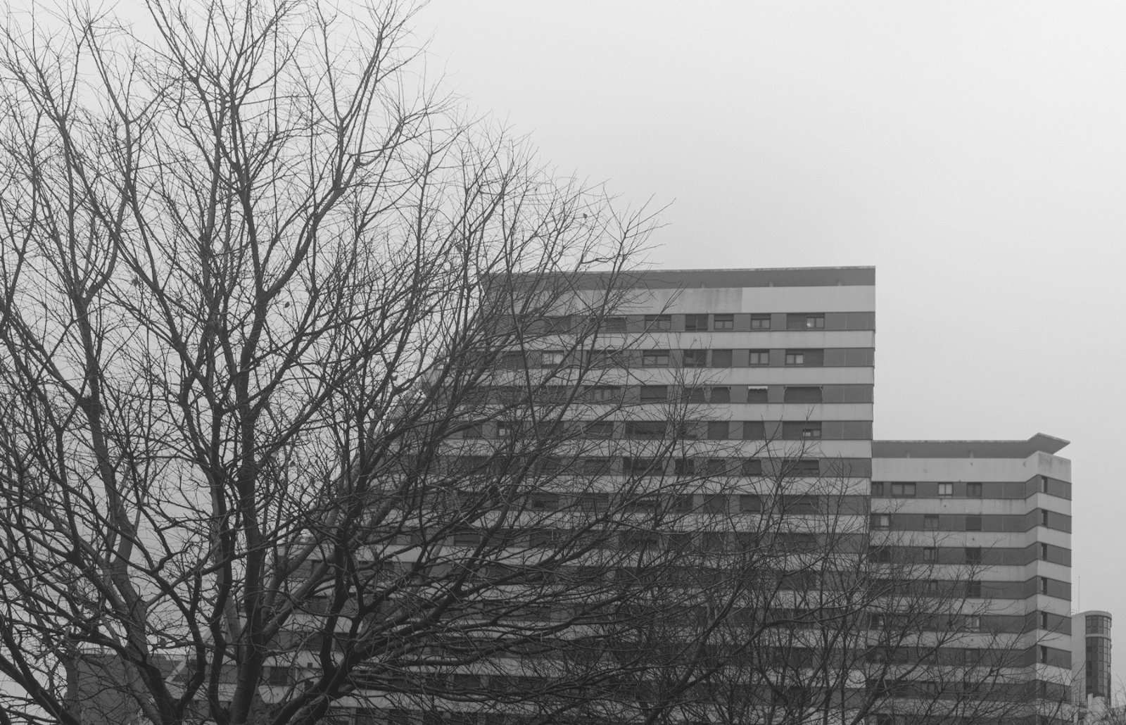 DSCF7028.jpg