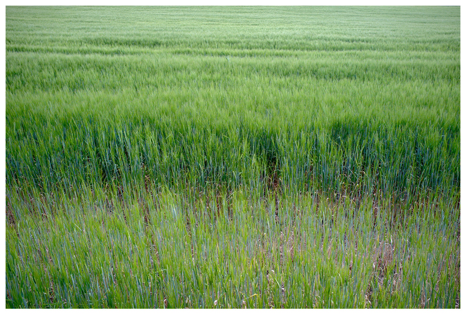 DSCF7106.jpg