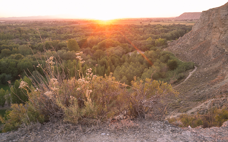 DSCF7115.jpg