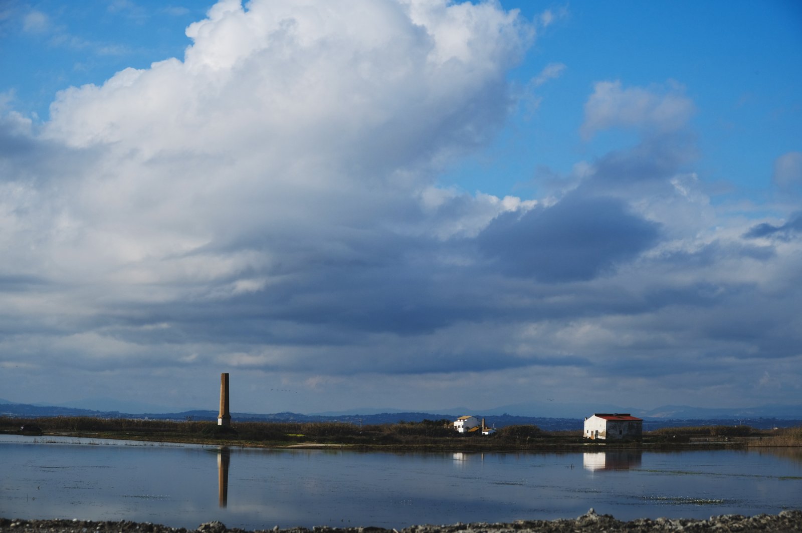 DSCF7172.jpg