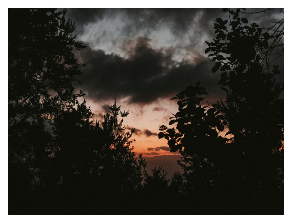 DSCF7232.jpg