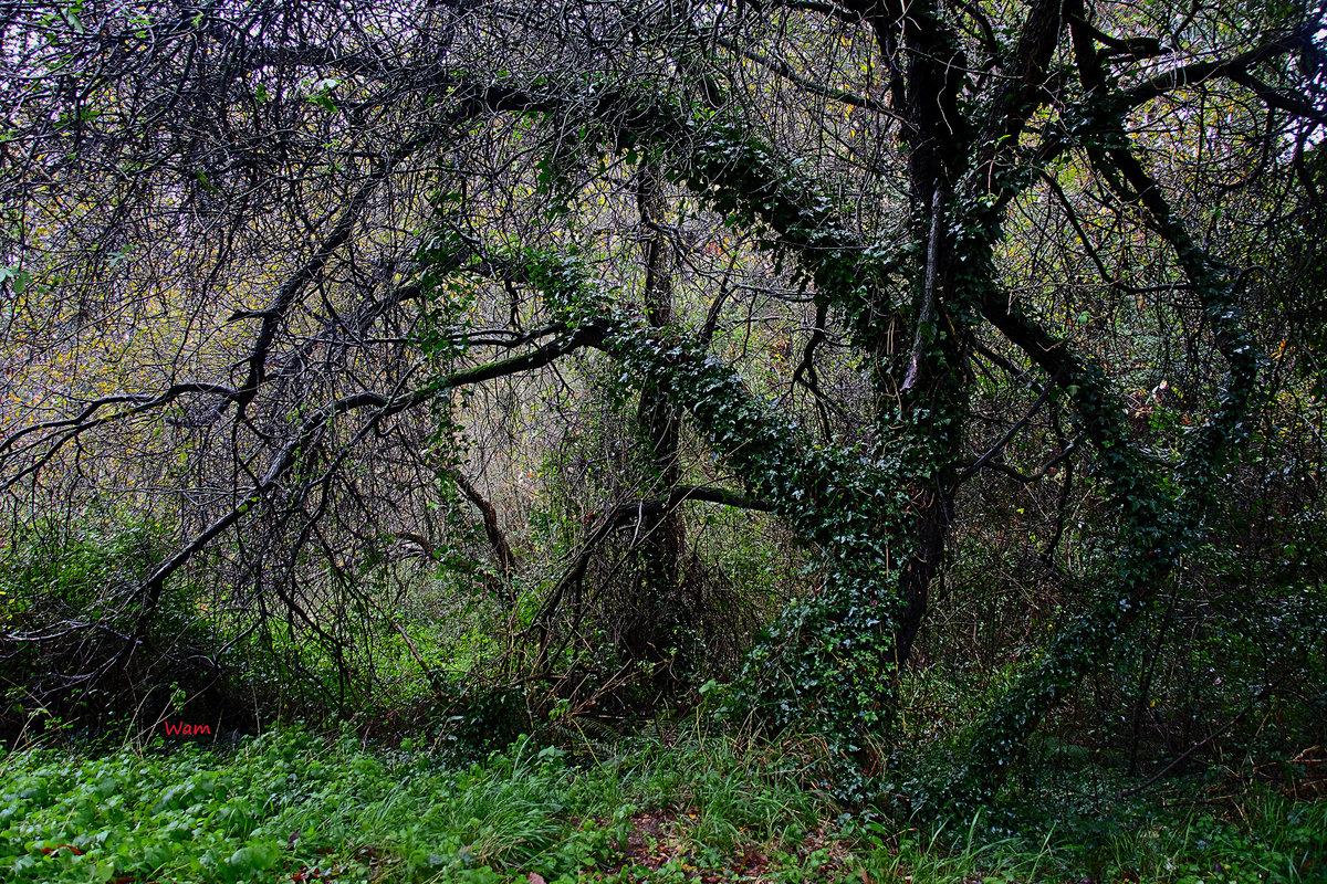 DSCF7370 ps02.jpg