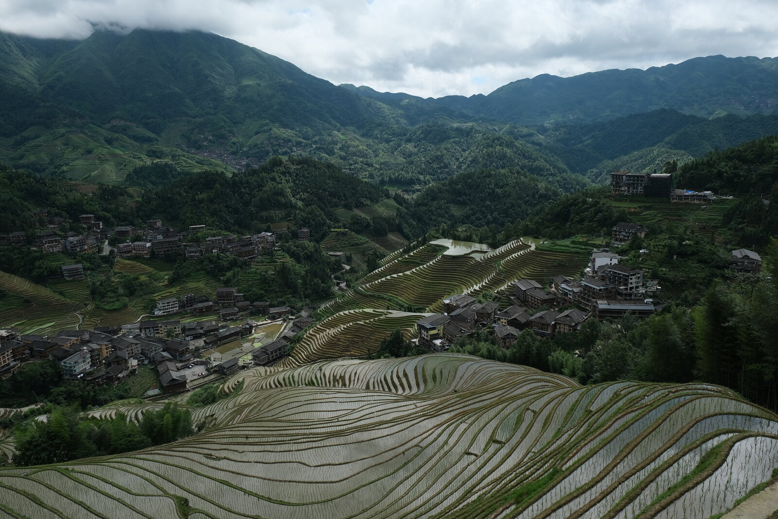 DSCF7383.JPG