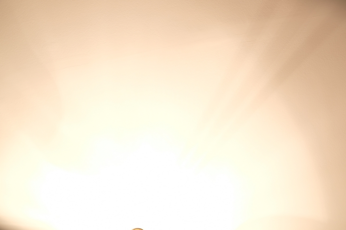 DSCF7394.JPG