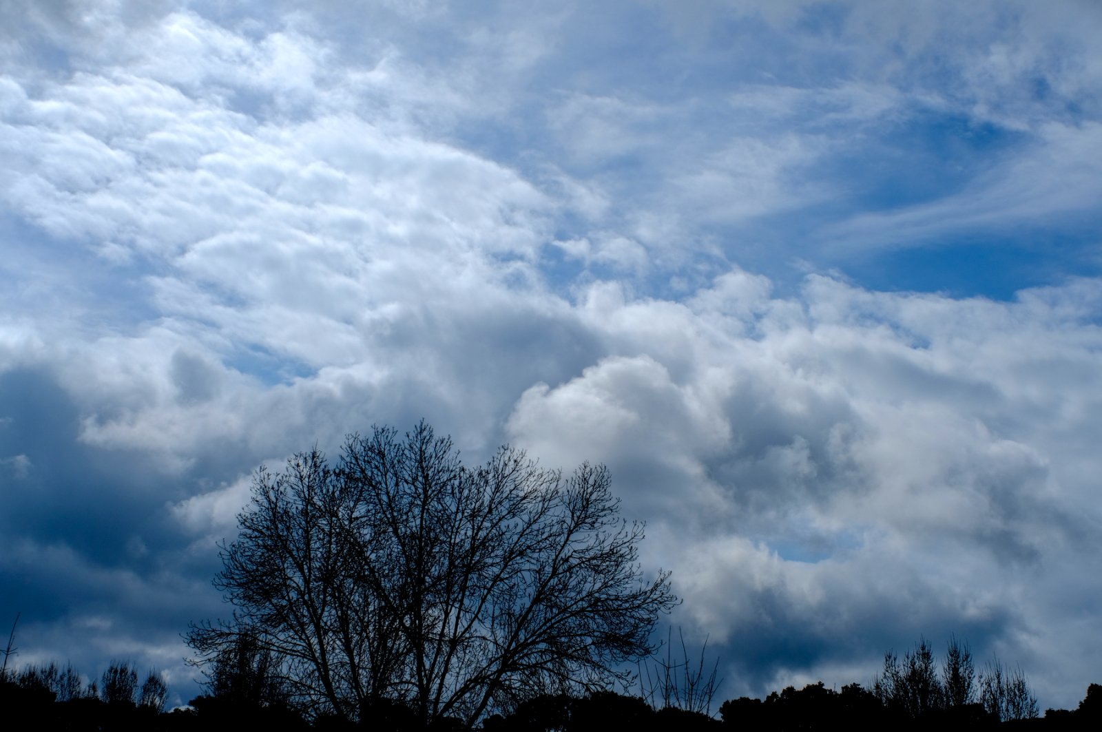 DSCF7466.jpg