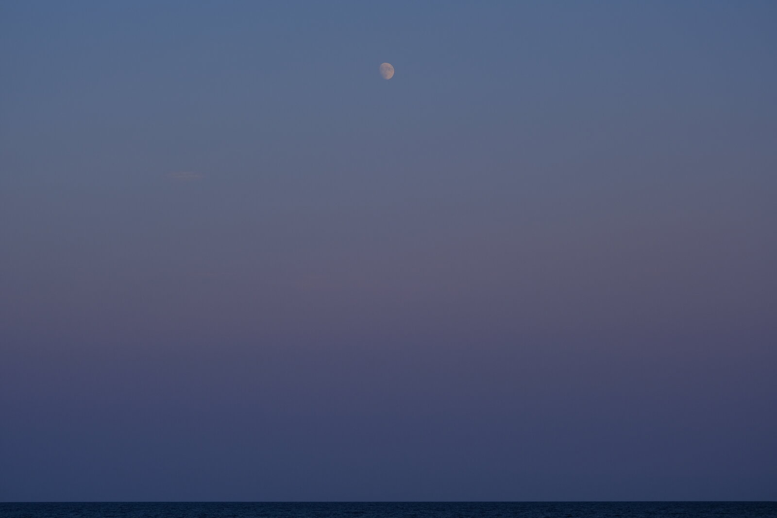 DSCF7548.JPG