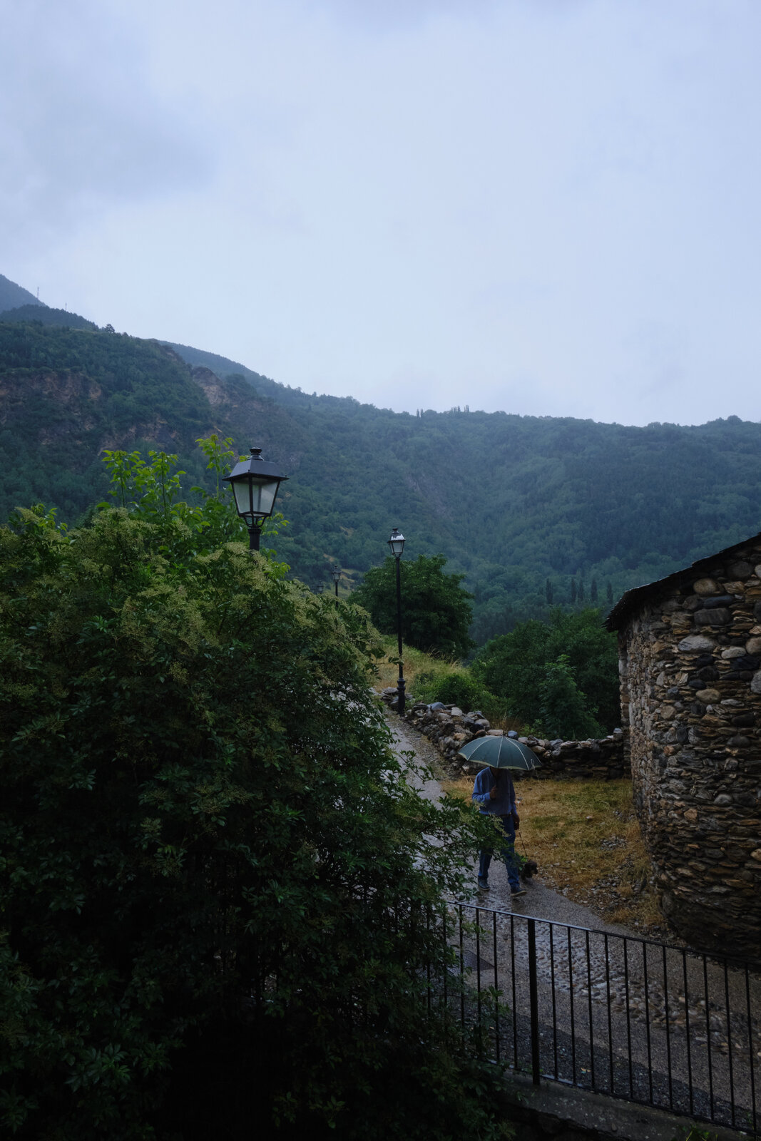 DSCF7707.jpg