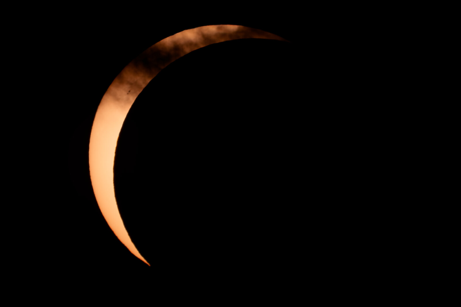DSCF7982.jpg