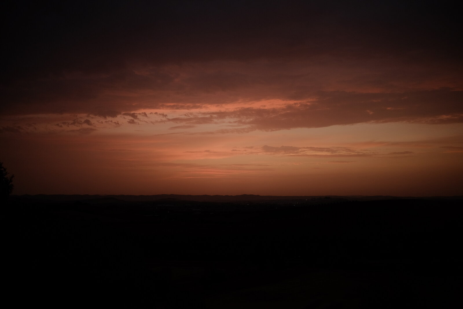 DSCF8053.JPG