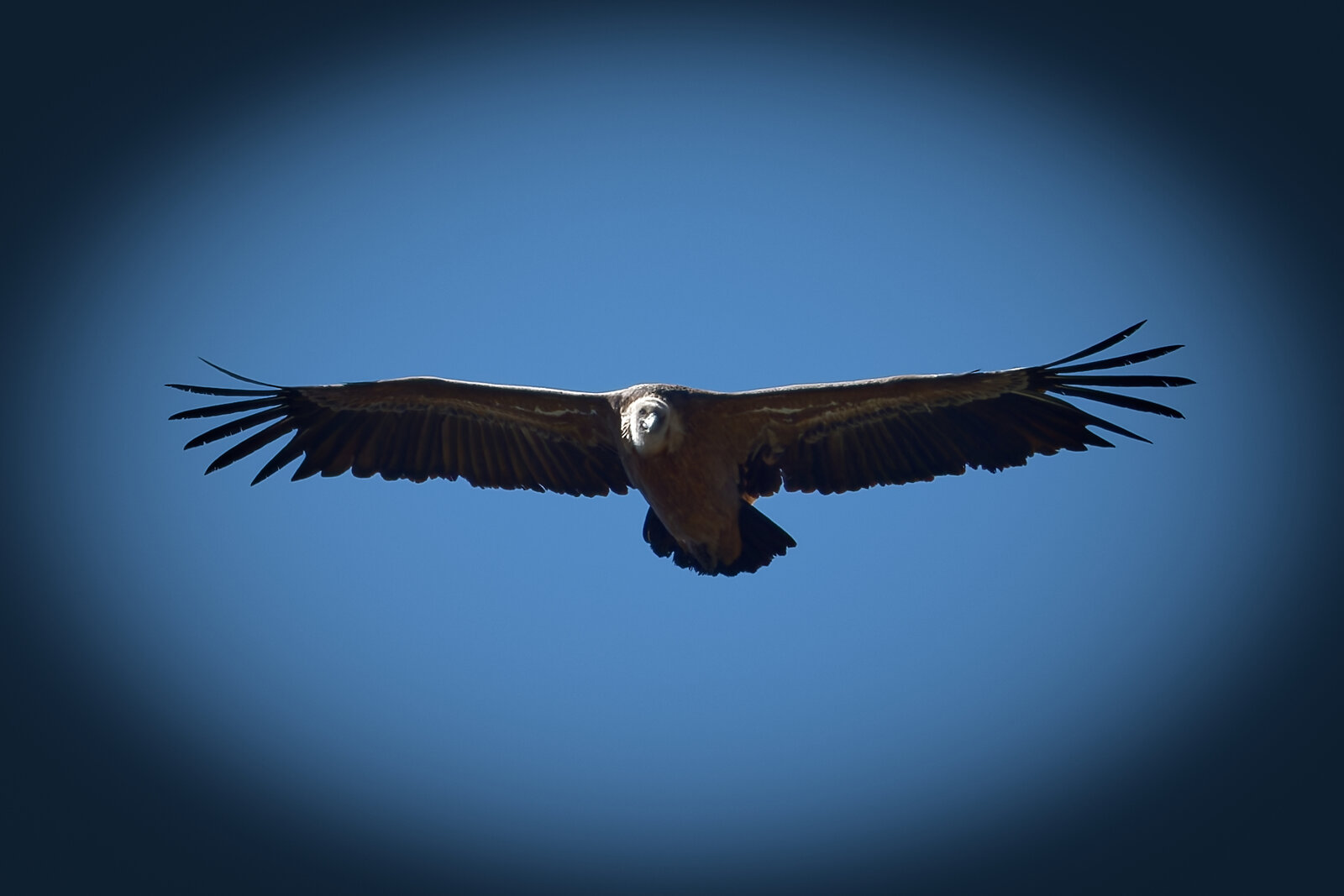 DSCF8078_DxO.jpg