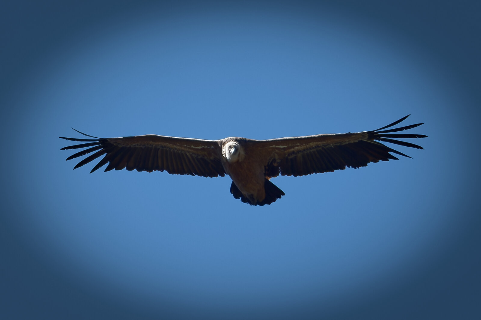 DSCF8078_DxO.jpg