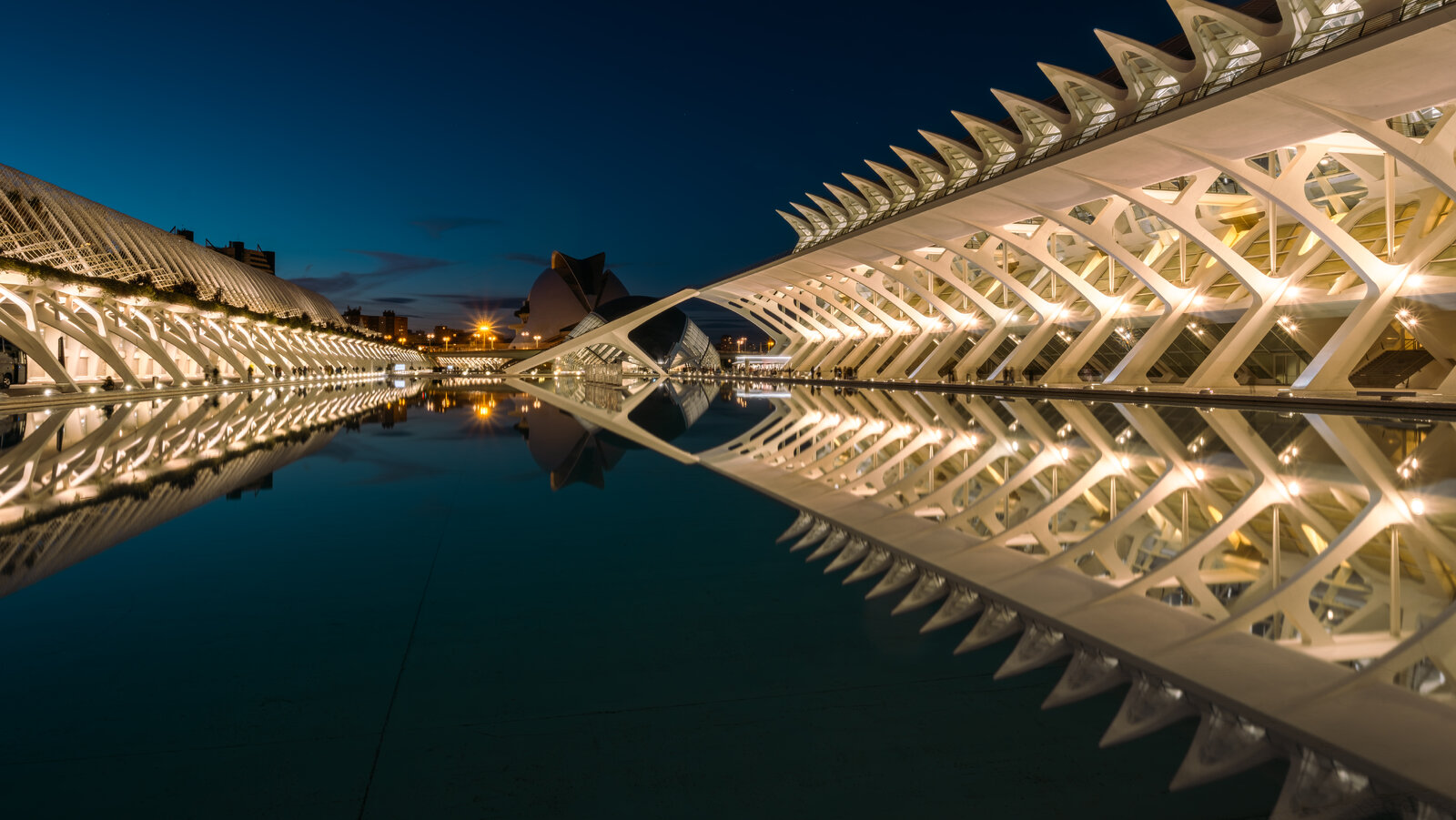 DSCF8114-HDR.jpg