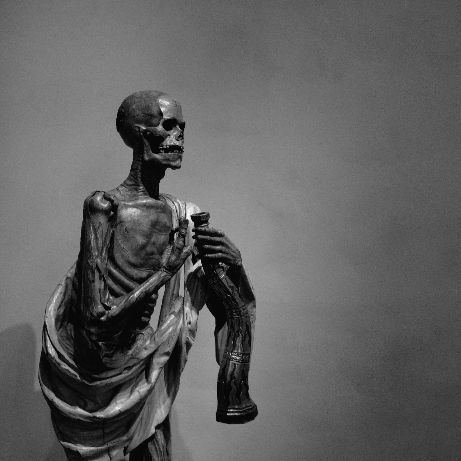 DSCF8129.jpg