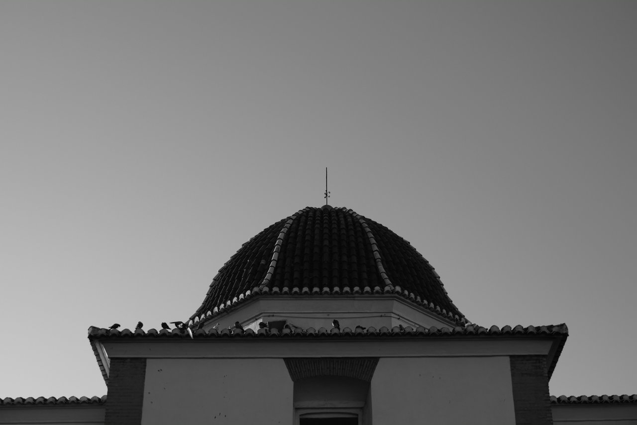 DSCF8140.JPG