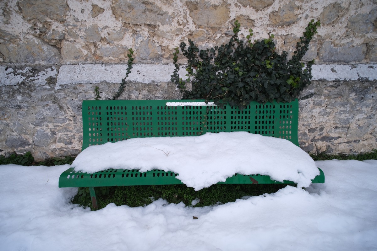 DSCF8210.JPG
