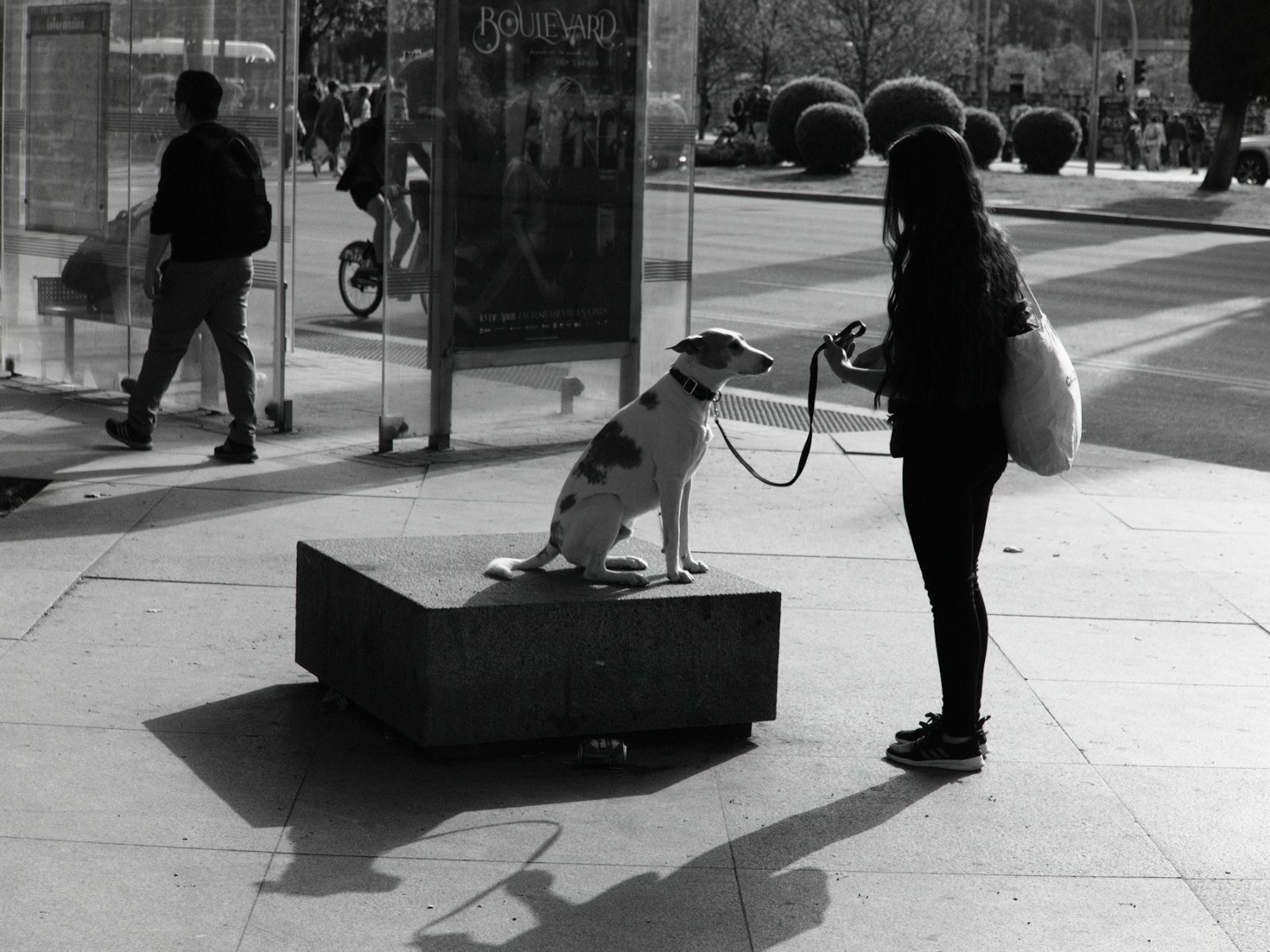 DSCF8211.jpg
