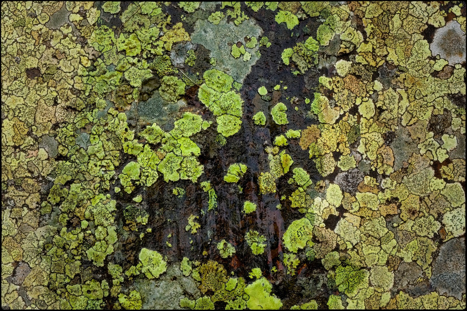 DSCF8214.jpg