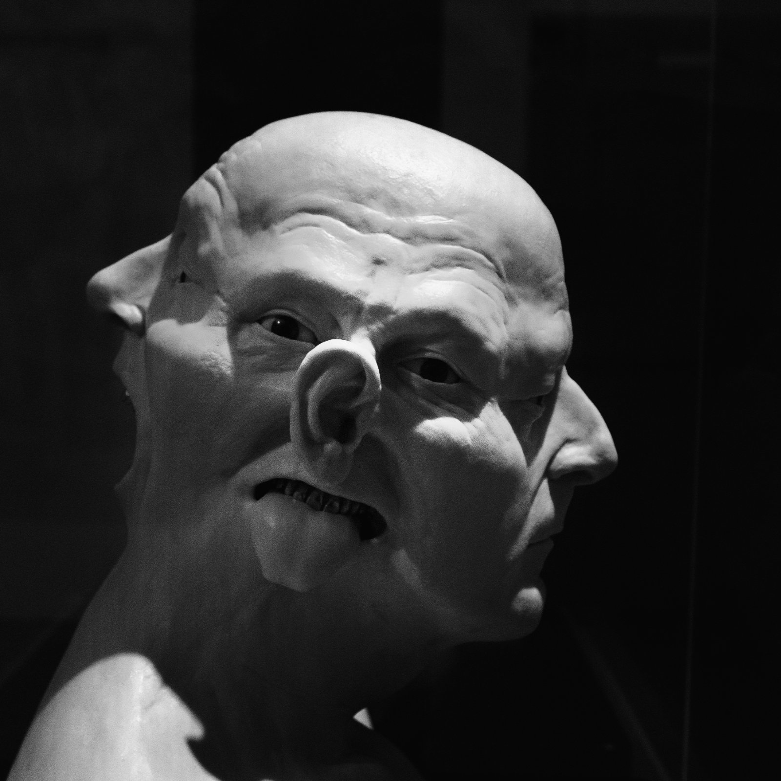 DSCF8244.jpg