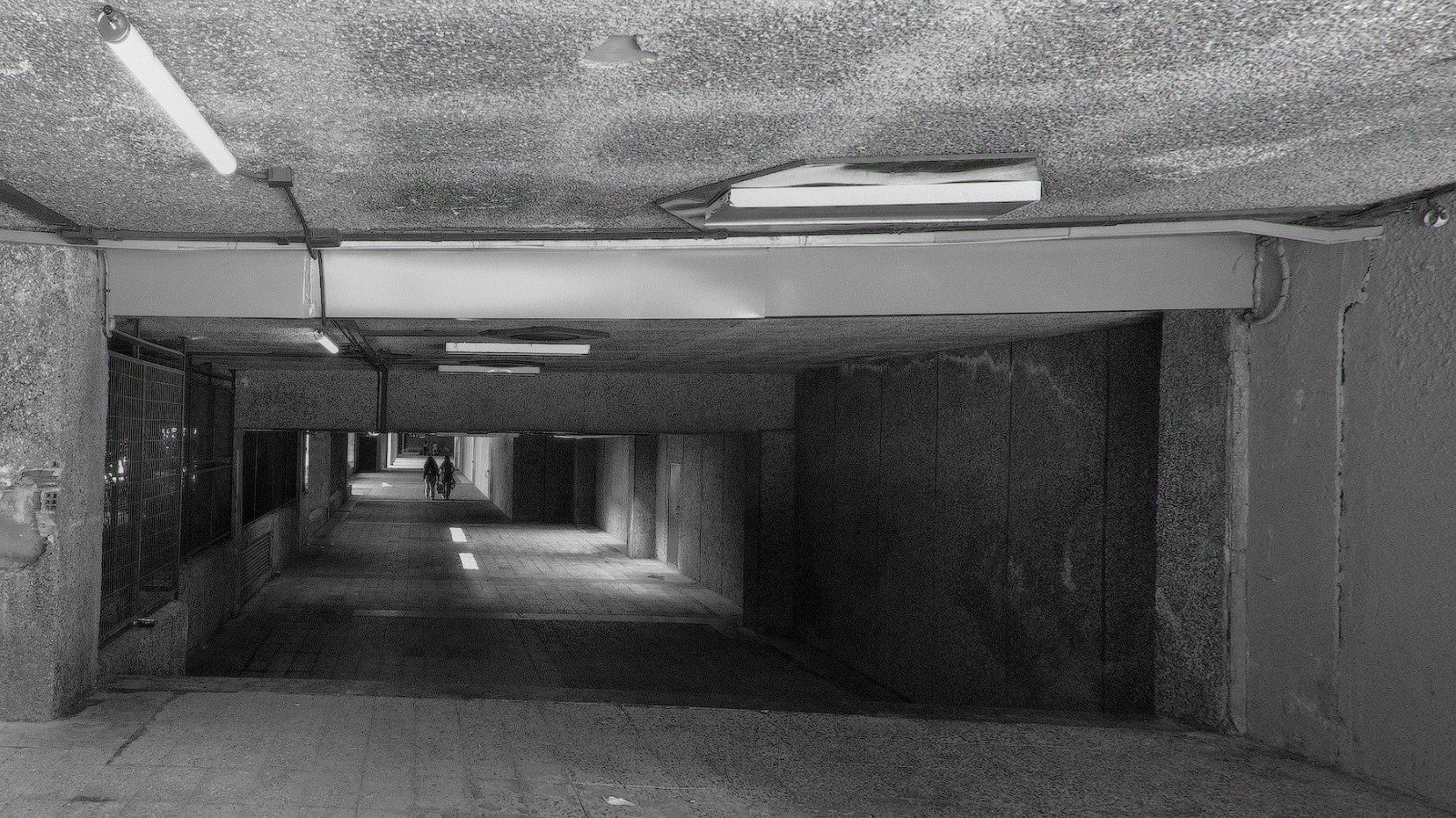 DSCF8264.jpg